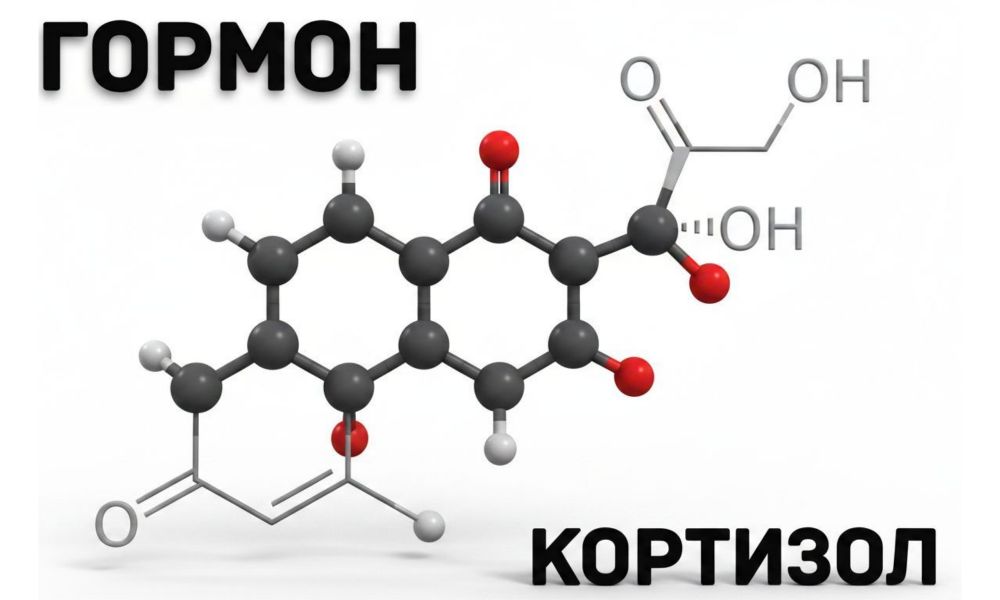Кортизол: невидимый дирижёр стресса. Как гормон управляет телом и что делать, если его уровень вышел из‑под контроля